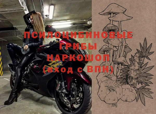 МДПВ Алексин