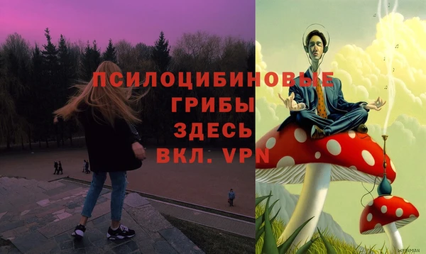 МДПВ Алексин