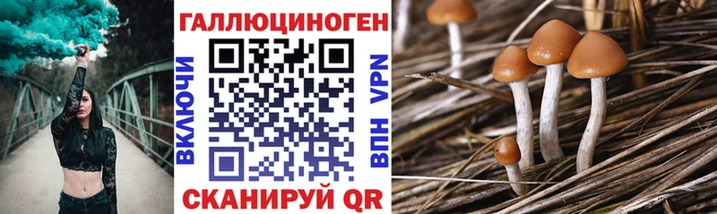 где можно купить наркотик  Орлов  Псилоцибиновые грибы мухоморы 